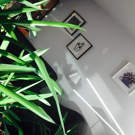 Romanisio 3* Fossano