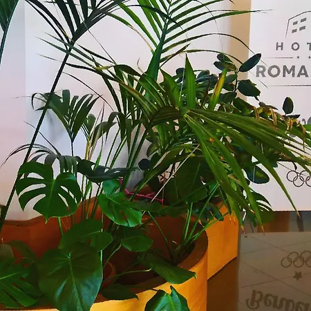 Romanisio 3* Fossano